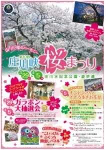 第１０回庄川狭🌸桜まつり🌸開催のご案内！！３月２９日→４月５日