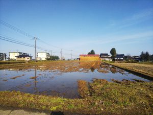 粗起こし後の水はり「アート」