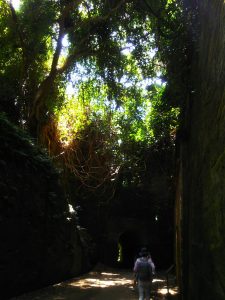 日本の無人島『猿島』へ