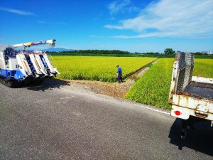 稲刈り「雄神農産」台風前の一仕事！！